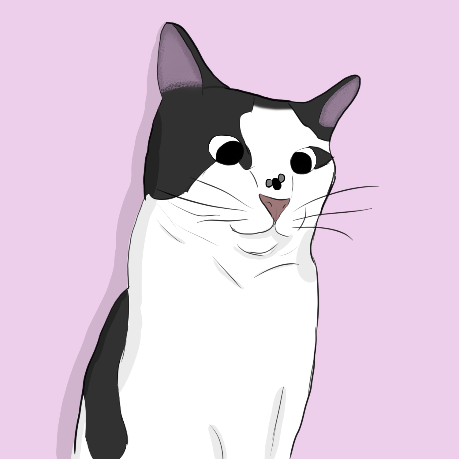dessin chat